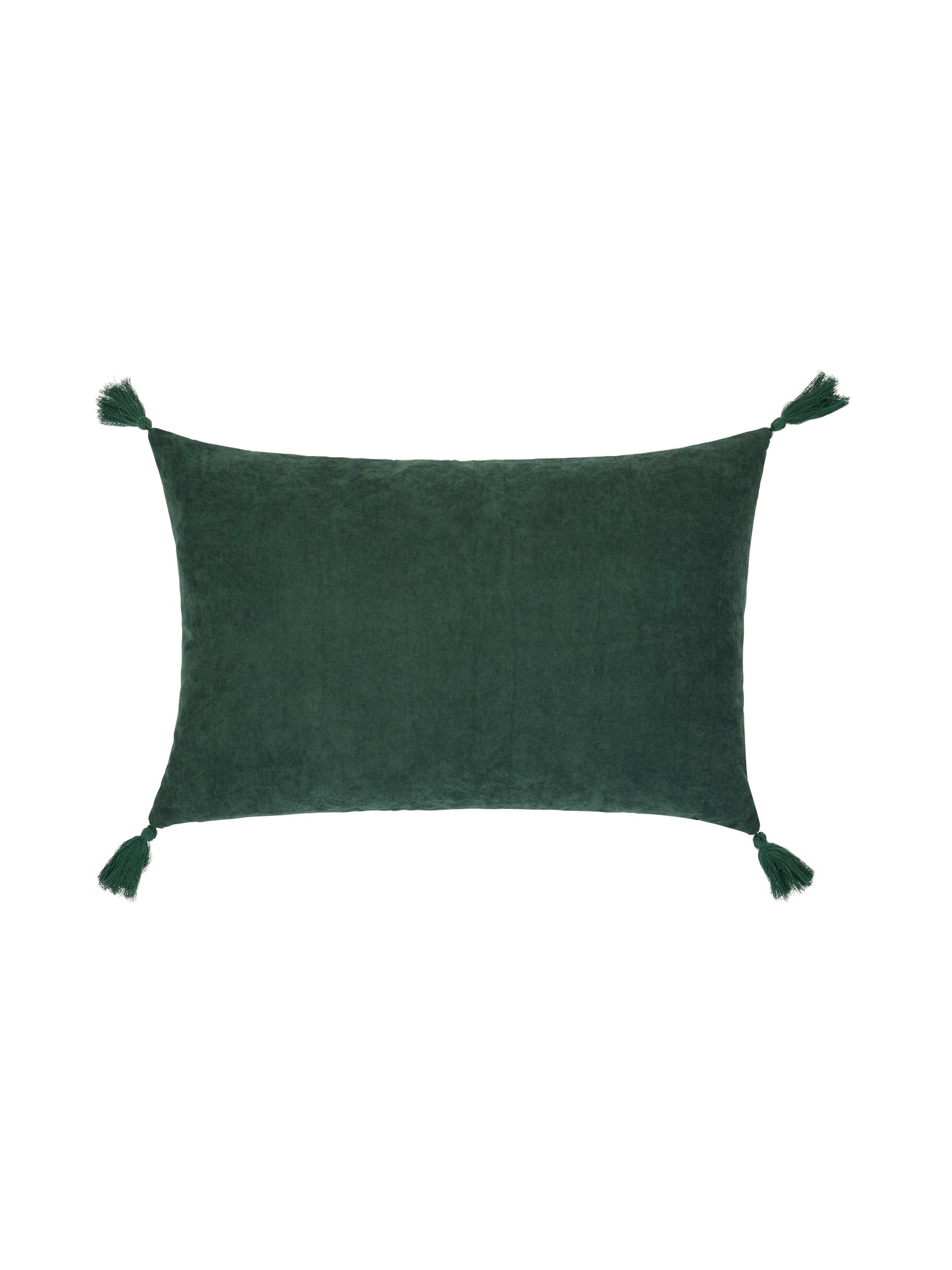 Wildcat Decorative Cushion