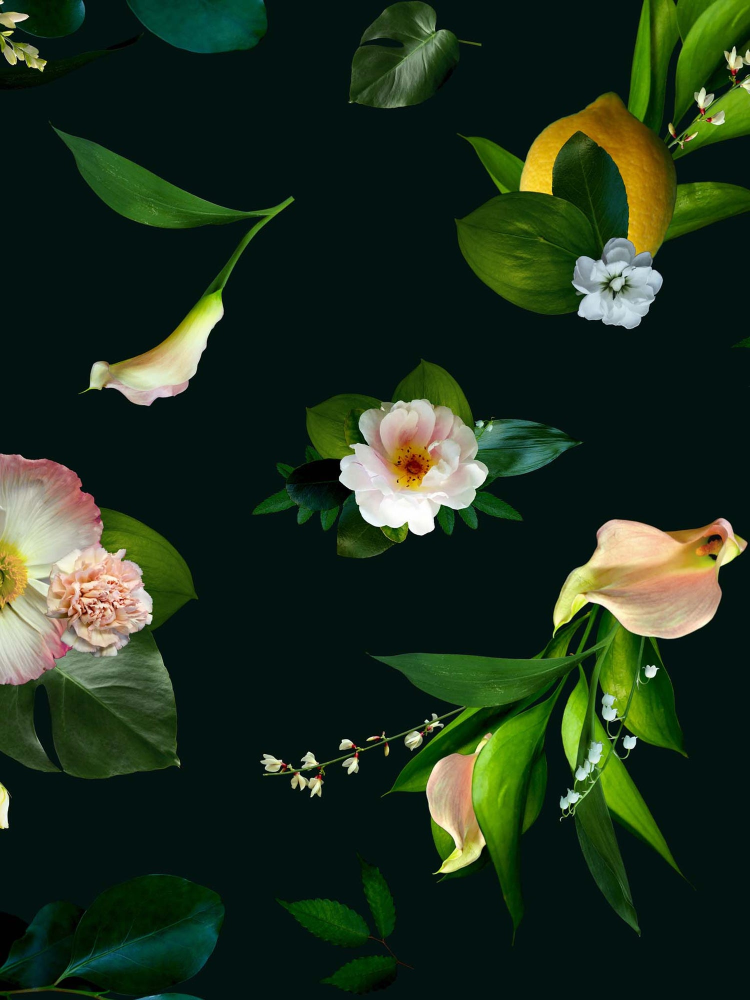 Uhana - Winter Garden -kangas